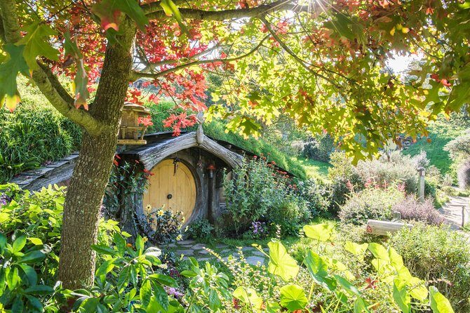 Auckland to Rotorua via Hobbiton Movie Set Tour - One Way - Transfer timing: arriving Rotorua with breathing room