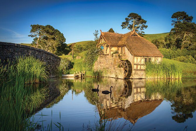 Auckland to Rotorua via Hobbiton Movie Set Tour - One Way - Practical tips to make your day smoother