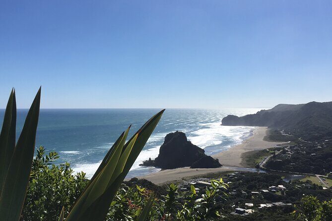 Auckland to Waitomo Caves and Hobbiton Movie Set Private Tour - Value for $670+ Per Person: When This Makes Sense