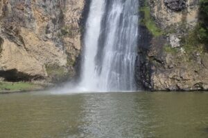 Auckland Town and Country Delights Tour - Howick and Cockle Bay: village charm plus a proper beach break