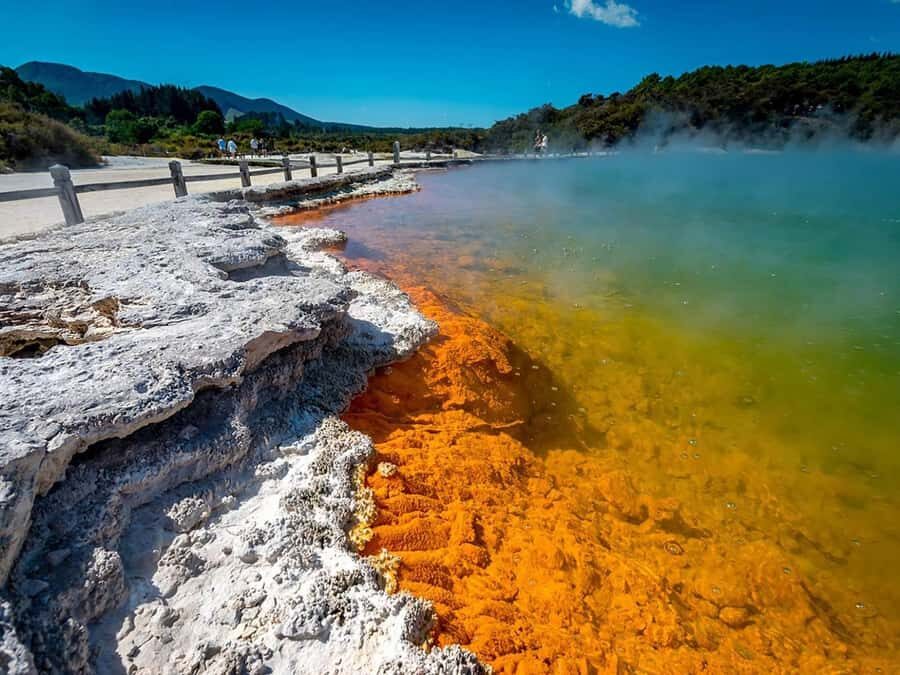 Auckland: Wai-O-Tapu, Maori Haka & Hot Springs Rotorua Tour - A 12-hour Auckland to Rotorua day built around heat and culture