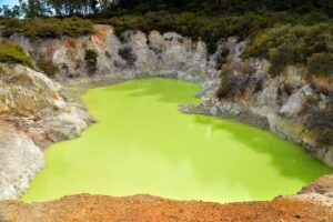 Auckland: Wai-O-Tapu, Polynesian Spa & Maori Haka Day Tour - Wai-O-Tapu Thermal Wonderland: Lady Knox, Champagne Pool, and Mud Pools