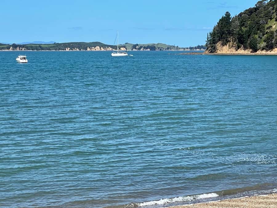 Auckland: Waiheke Island Luxury Experience Private Tour - Upgrades: charter boat, seaplane, or helicopter transfer