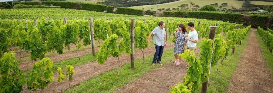 Auckland: Waiheke Island Luxury Experience Private Tour - Practical tips to get the most out of the day