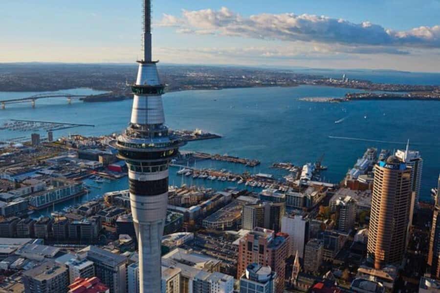 Auckland: Waiheke Island Wine and Food Tasting with Flights - From Pickups to Takeoff: How the First Hour Sets the Tone