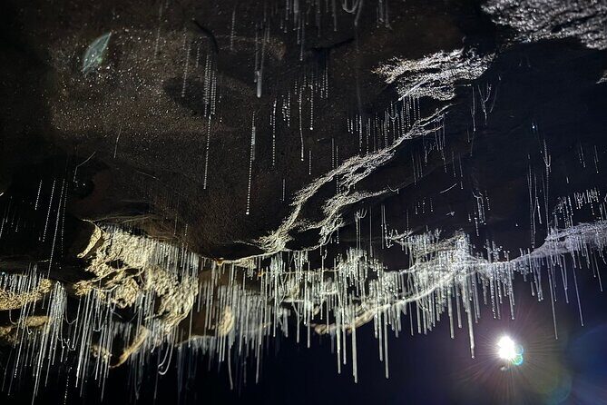Auckland : Waitomo Spellbound Glow Worm Twin Caves Private Tour - Glowworm Grotto: the boat ride that turns lights into a sky