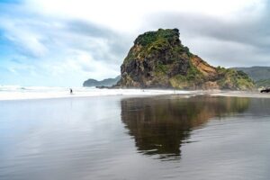 Auckland West Coast Half-Day Private Tour - The Private SUV Route: Comfort, Stops, and How the Day Flows