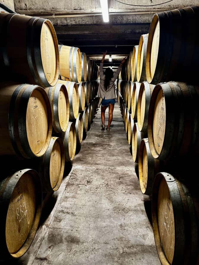 Auckland: Wine region tour with tastings and gourmet lunch - Hunting Lodge Winery & Restaurant lunch with wine: where the tour becomes a meal