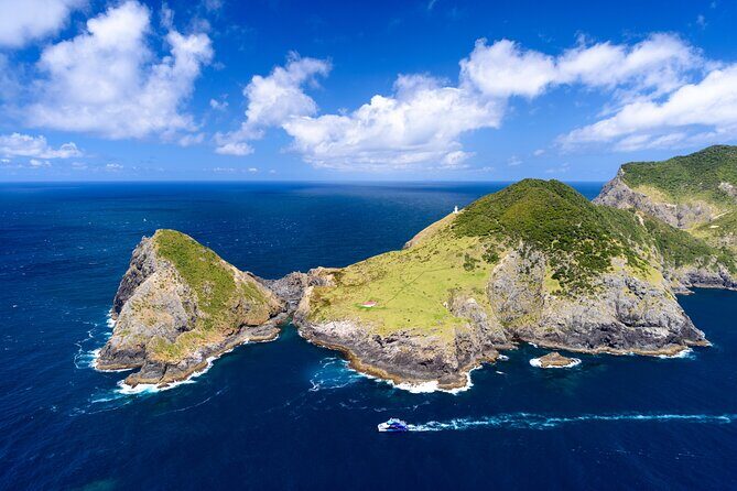 Bay of Islands Explorer Experience Small Group Tour From Auckland - The main event: the Hole in the Rock cruise (4.5 hours)