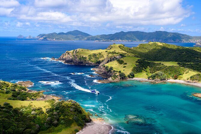 Bay of Islands Explorer Experience Small Group Tour From Auckland - Marine wildlife spotting: dolphins, whales, seals, and real rules