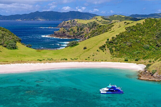 Bay of Islands Explorer Experience Small Group Tour From Auckland - Price and value: what $294.77 covers on this one-day format