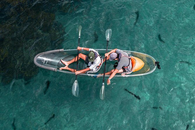 Clearyak hire at Goat Island Marine Reserve - Key highlights you should know