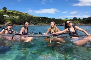 Clearyak hire at Goat Island Marine Reserve - Choosing 30 vs 60 minutes (and why longer can win)