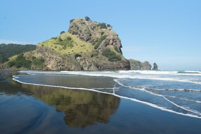 Coast and Rainforest Eco-Tour from Auckland with Picnic Lunch - Key highlights to know before you go