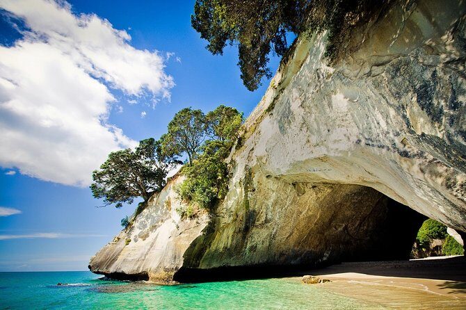 Coromandel Peninsula Discovery - Private Tour From Auckland - A 7:00 am private start that still feels relaxed