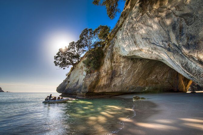 Coromandel Peninsula Discovery - Private Tour From Auckland - Hot Waves Café lunch stop: a picnic-style reset before Hot Water Beach