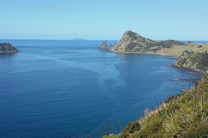 Coromandel Peninsula Discovery - Private Tour From Auckland - Who this private tour suits best (and who should think twice)