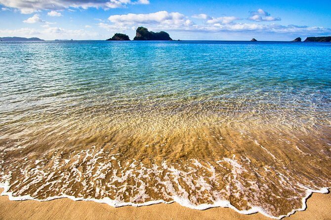 Coromandel Peninsula Discovery - Private Tour From Auckland - Should you book this Coromandel Peninsula Discovery tour?