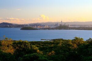 Day sea kayak tour Rangitoto Island - Crossing Waitemata Harbour: Sparkling Water and Wildlife on the List