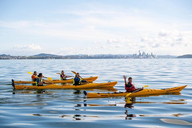 Day sea kayak tour Rangitoto Island - Paddling Back to St. Heliers: Another Workout, Different Light