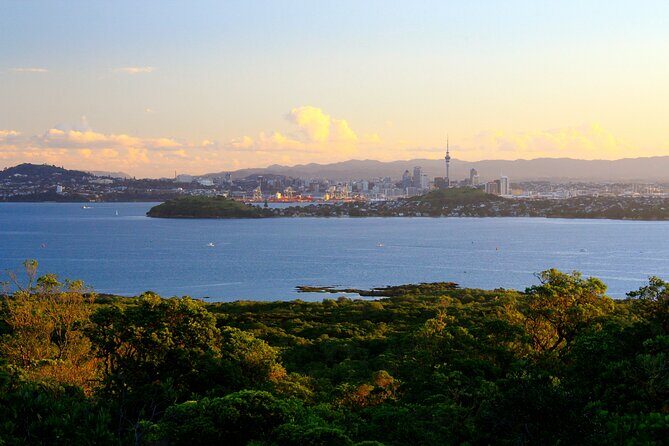 Day sea kayak tour Rangitoto Island - Crossing Waitemata Harbour: Sparkling Water and Wildlife on the List