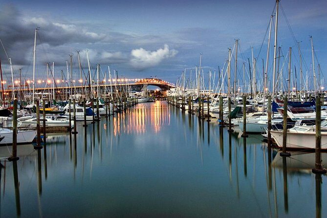 Discover Auckland City Tour: The City of Sails - One Tree Hill (Maungakiekie): 360 Views and a Volcanic Reminder