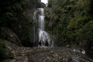 Explore BLACK SAND PIHA BEACH, and Water Falls in West Auckland - Getting there from Auckland CBD: small group comfort and a tight schedule