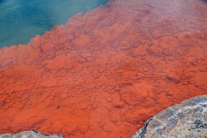 From Auckand: Waiotapu and Polynesian Spa Rotorua Day Tour - Wai-O-Tapu Thermal Wonderland: Champagne Pool color and Lady Knox timing