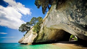 From Auckland: Cathedral Cove & Hot Water Beach Tour - Cathedral Cove: the Narnia-rock walk and why timing matters