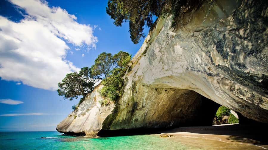 From Auckland: Cathedral Cove & Hot Water Beach Tour - Cathedral Cove: the Narnia-rock walk and why timing matters