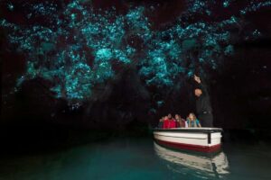 From Auckland: Day Trip to Waitomo Glow Worm Caves - Getting There in Comfort: Auckland to Waitomo Without Stress