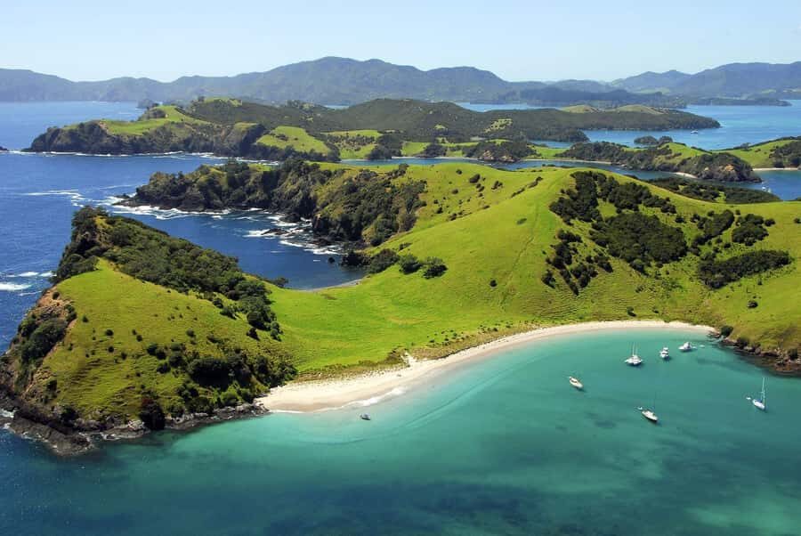 From Auckland: Full Day Private Tour to the Bay of Islands - Key highlights worth knowing