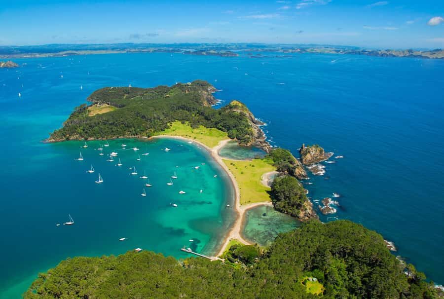From Auckland: Full Day Private Tour to the Bay of Islands - Paihia catamaran cruise: dolphins, marine life, and real sea time