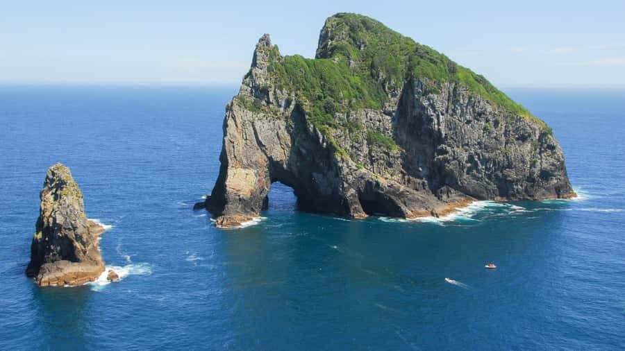 From Auckland: Full Day Private Tour to the Bay of Islands - The ride back to Auckland CBD: plan for the late-day energy dip