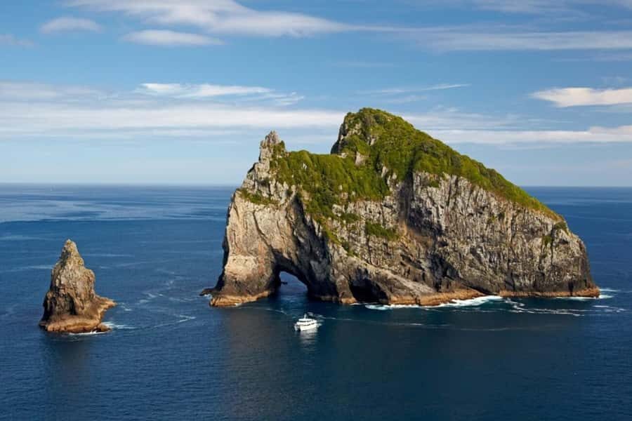 From Auckland: Full Day Private Tour to the Bay of Islands - Who should book this private Bay of Islands tour