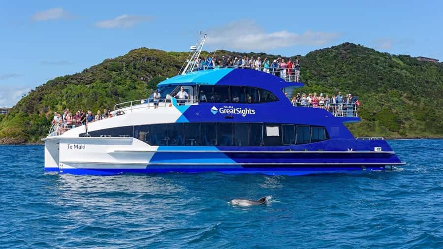 From Auckland: Full Day Private Tour to the Bay of Islands - Tips to make the most of the cruise and island time