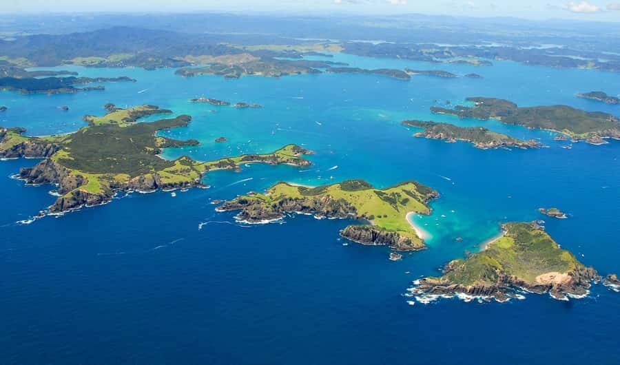 From Auckland: Full Day Private Tour to the Bay of Islands - The Auckland to Paihia drive: more than just getting there