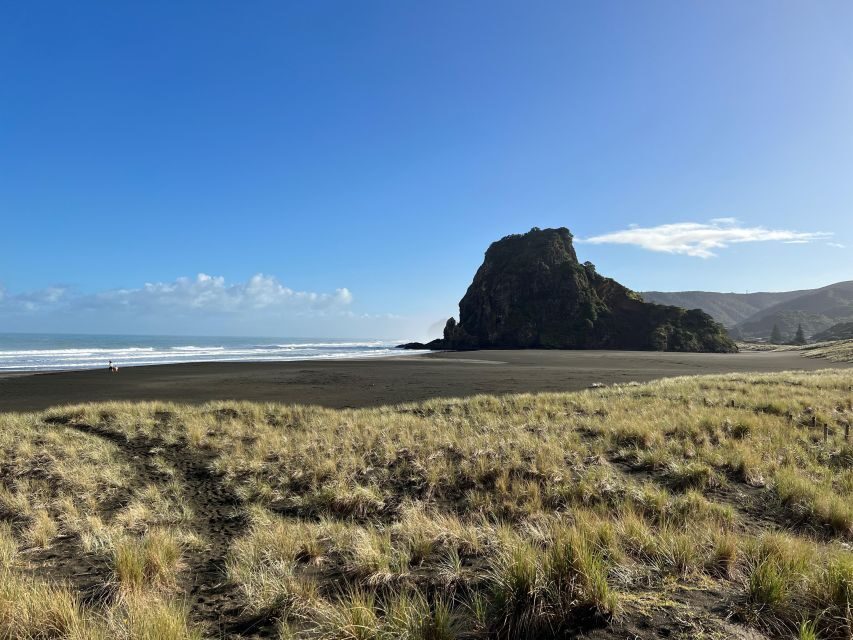 From Auckland: Guided Tour of Piha with Scenic Beach Walks - Wildlife chances: rosellas, tui, and the thrill of spotting