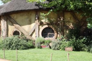 From Auckland: Hobbiton Afternoon Tour - The ride through Waikato: what you see, and why it’s worth paying attention