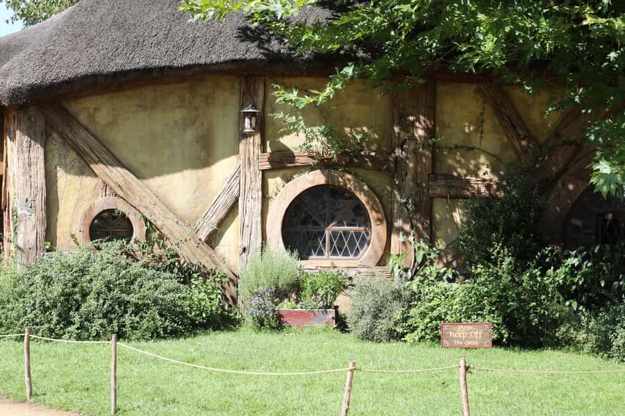 From Auckland: Hobbiton Afternoon Tour - The ride through Waikato: what you see, and why it’s worth paying attention