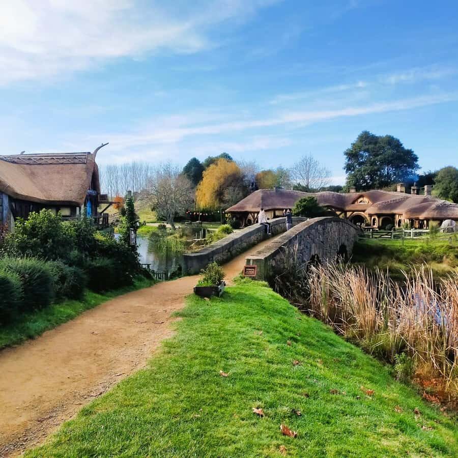 From Auckland: Hobbiton Movie Set Small Group Tour - Return drive and the Auckland wrap-up: snacks, dessert, and pacing