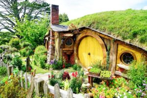 From Auckland: Hobbiton & Rotorua Tour with Lunch at Te Puia - Price and What $286 Buys You (and What It Saves You)