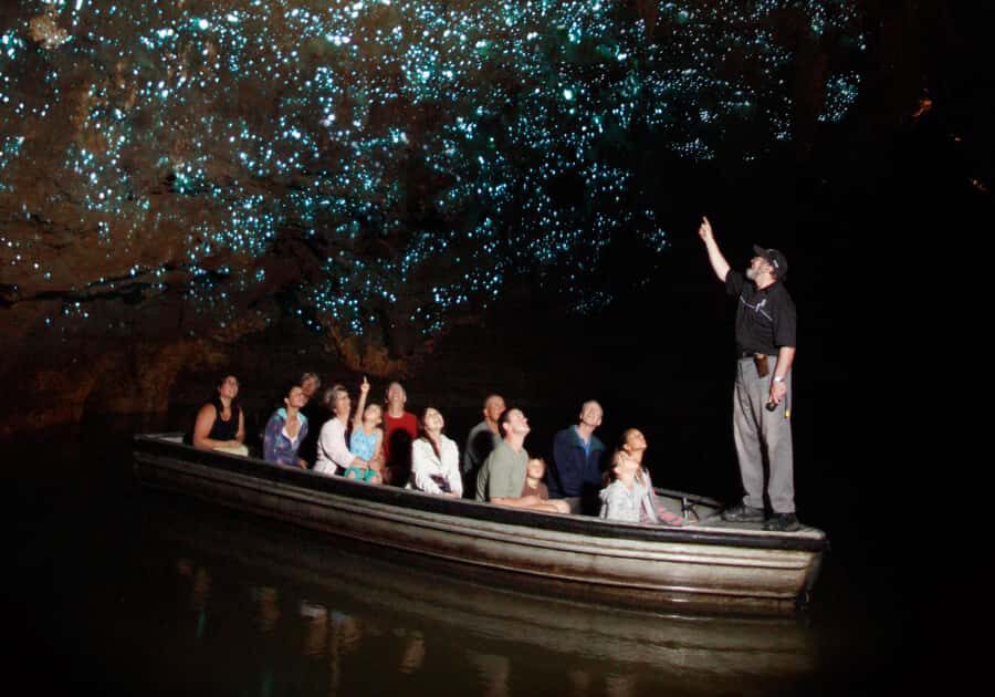 From Auckland: Hobbiton, Waitomo Caves & Kiwi House Tour - Hobbiton by Green Bus: 2.5 Hours Through 44 Hobbit Holes