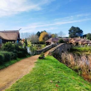 From: Auckland: Rotorua via Hobbiton Tour One Way Tour - Door-to-Door Pickup and the Comfort Factor
