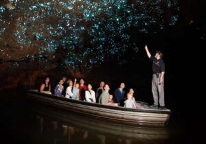 From Auckland: Waitomo Caves and Kiwi House Group Tour - Waitomo Glowworm Caves by boat: the reason this tour exists