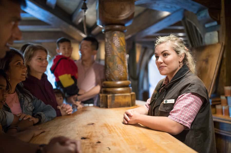 From Auckland: Waitomo & Hobbiton Bus Tour with Lunch - Practical Tips to Make the Day Go Smoothly