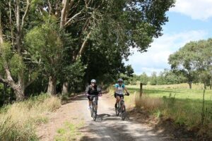 Full Day Ebike Tour in Karangahake Gorge (ex Auckland) - Auckland pickup and the air-conditioned shuttle van plan