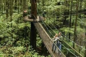 FULL DAY ROTORUA TOUR - Fully Customisable 13 hours Unlimited KMS - How day one typically feels: a big Rotorua base plus Taupō wow-factor