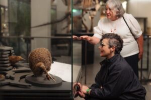 Gallery Highlights Tour and General Admission - Stop 1: your guided orientation to Māori culture, Pacific navigation, and the science of place