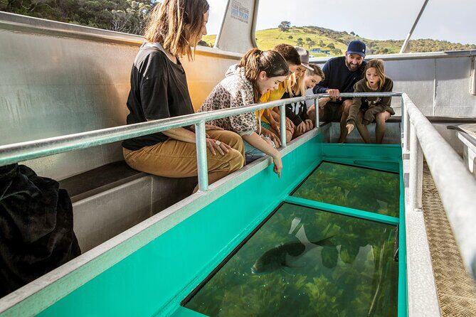 Glass Bottom Boat Tour - What the tour day feels like on the water